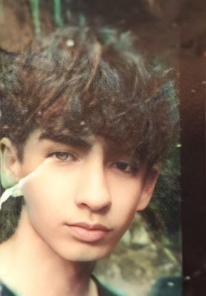 طاها قائمی1.jpg