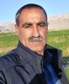 ایمان میرشکاری