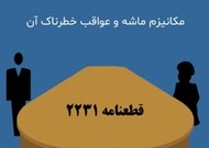 شورای امنیت سازمان ملل متحد؛ نهاد تصمیم‌گیرنده در اجرای مکانیسم ماشه