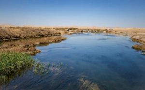 تالاب گاوخونی.jpg