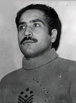 علی میهن‌دوست.JPG
