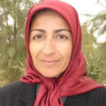 تصویر بندانگشتی از نسخهٔ مورخ ‏۹ اکتبر ۲۰۲۶، ساعت ۲۲:۵۵