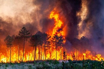 آتش‌سوزی گسترده در جنگل‌های هیرکانی – مازندران، آبان ۱۴۰۴