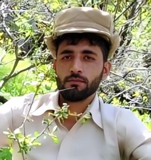 امیر نادری1.jpg