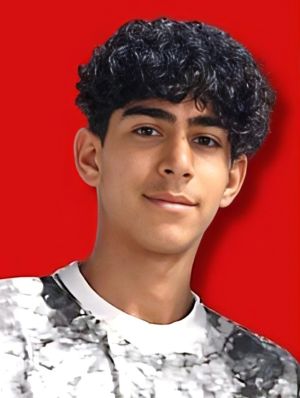 رضا کاووسی،البرز.jpg