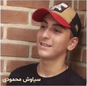 سیاوش محمودی.JPG