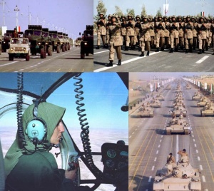 ارتش آزادی‌بخش ملی ایران در مانورهای مختلف.jpg
