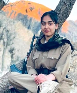 غزال مولان2.jpg