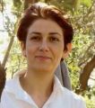تصویر بندانگشتی از نسخهٔ مورخ ‏۱۸ ژوئن ۲۰۲۶، ساعت ۲۲:۰۹