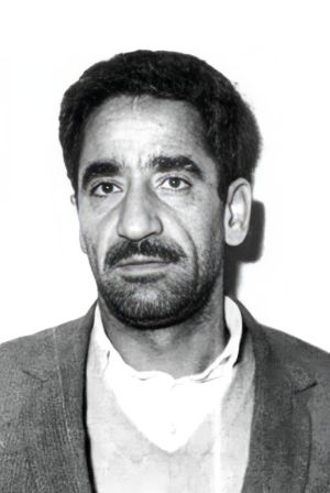 شاهمراد دلفانی مامور ساواک